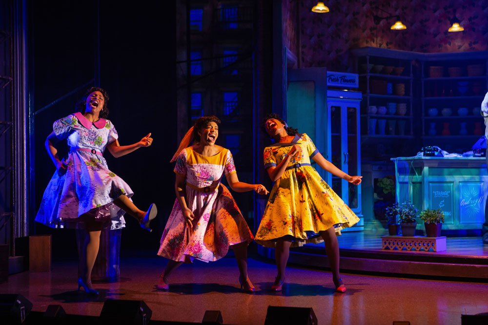 Gabi Epstein as Audrey in Little Shop of Horrors. Photography by Cylla von Tiedemann. 
